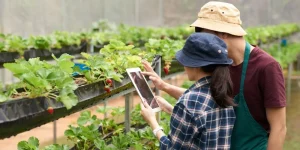 5-langkah-mudah-tips-memulai-hobi-menanam-pada-area-terbatas