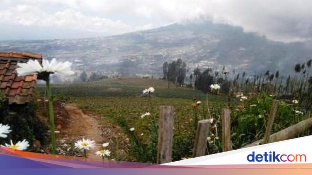 7 Destinasi Wisata Pegunungan di Jawa Tengah Selain Dieng yang Wajib Dikunjungi