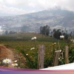 7 Destinasi Wisata Pegunungan di Jawa Tengah Selain Dieng yang Wajib Dikunjungi