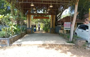 Alam Ndeso: Pesona Wisata Pedesaan yang Menggerakkan Ekonomi Lokal di Rasau Jaya