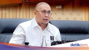 Andre Rosiade Tegur Hotman: Jangan Hubungkan Kasus Febrie dengan Presiden Prabowo