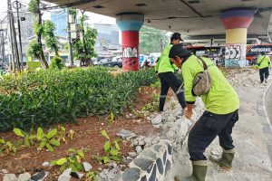 Apresiasi Kasudin Tamhut Jaktim atas Penangkapan Pelaku Pencurian Pagar Jalur Hijau
