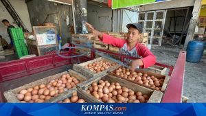 Dapur MBG Wajib Patuhi Harga Acuan Pemerintah dalam Pembelian Bahan Pangan