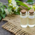 Daun Kemuning: Potensi Alami untuk Mengelola Diabetes