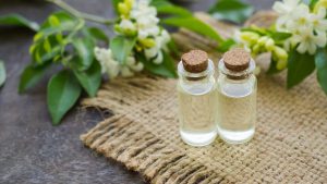 Daun Kemuning: Potensi Alami untuk Mengelola Diabetes