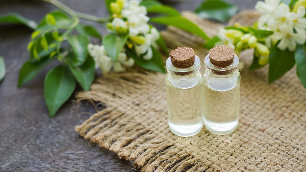 Daun Kemuning: Potensi Alami untuk Mengelola Diabetes