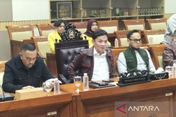 DPR Bentuk Panja Awasi Kasus Korupsi yang Menyeret Febrie Adriansyah