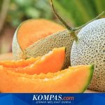 Dugaan Penipuan Pengadaan 13 Ton Melon dan 2.950 Nanas untuk Program MBG, Polisi Sebut Pemilik Dapur Juga Korban