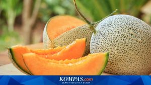 Dugaan Penipuan Pengadaan 13 Ton Melon dan 2.950 Nanas untuk Program MBG, Polisi Sebut Pemilik Dapur Juga Korban