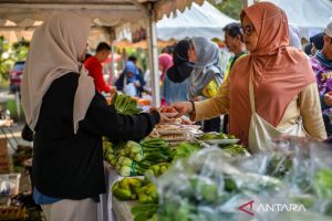 Evaluasi Pengendalian Inflasi Daerah oleh Pemerintah Kota Palu