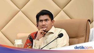 Gerindra Ungkap Makna Pernyataan Prabowo soal PDIP Sehati dengan Pemerintah