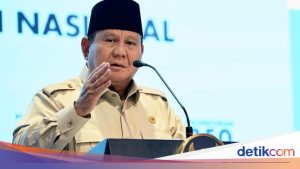 Istana dan Gerindra Sepakat Minta Hotman Tak Hubungkan Febrie dengan Prabowo
