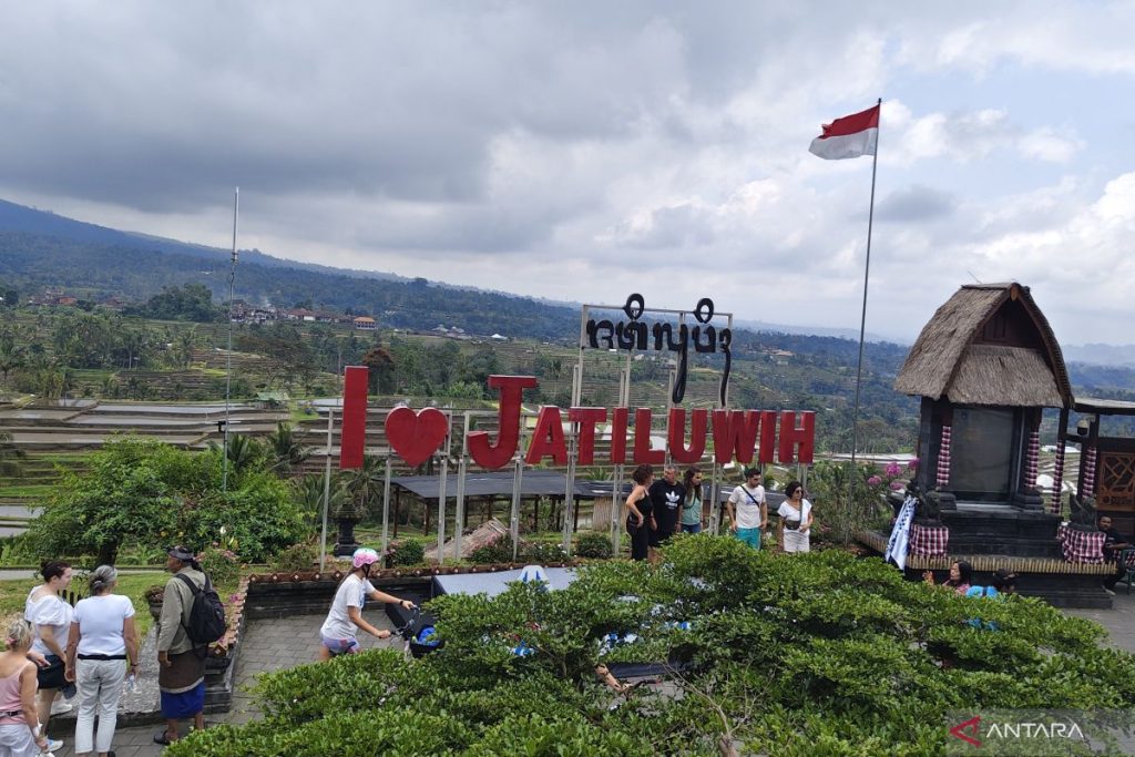 Jatiluwih Kembangkan Wisata Pertanian dan Olahraga untuk Dorong Ekonomi Masyarakat
