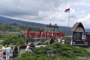 Jatiluwih Kembangkan Wisata Pertanian dan Olahraga untuk Dorong Ekonomi Masyarakat