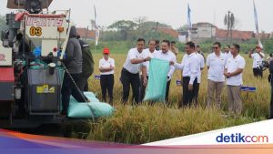 Kejagung Luncurkan Sistem Peringatan Dini untuk Jaga Ketahanan Pangan Desa