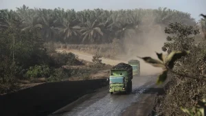 Keuangan Islam Diminta Tinjau Ulang Pembiayaan Batu Bara demi Lingkungan