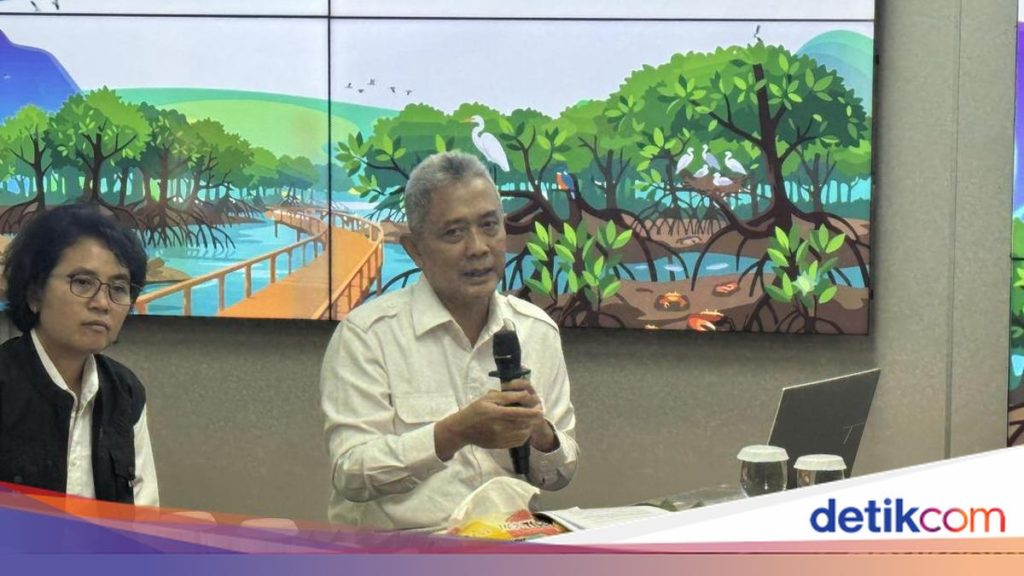 KLH Evaluasi Wilayah Bencana di Sumatera, Rekomendasi Tata Ruang Diserahkan ke BPN