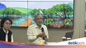 KLH Evaluasi Wilayah Bencana di Sumatera, Rekomendasi Tata Ruang Diserahkan ke BPN