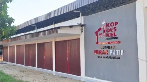 Kontroversi Pengadaan Kipas Angin Kopdes Merah Putih: DPR Soroti Harga Fantastis Rp1,8 Triliun, di E-Commerce Cuma Rp300 Ribu