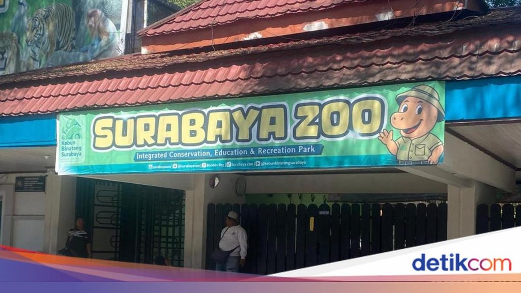 Korupsi Pakan Rp10,2 Miliar di KBS: Nasib Satwa dan Langkah Tegas Wali Kota Surabaya