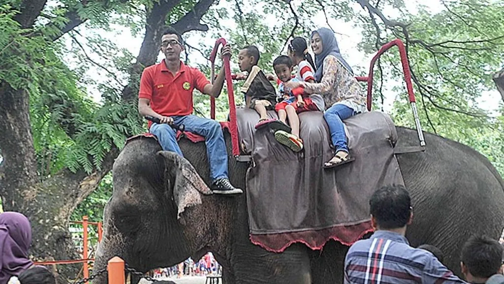 Korupsi Puluhan Miliar di Kebun Binatang Surabaya: Kronologi dan Fakta Terbaru