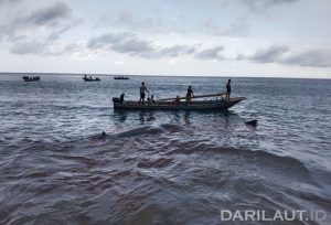 Kosmologi Penangkapan Paus di Lamalera NTT: Harmoni dengan Konservasi Integratif