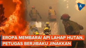 Krisis Kebakaran Hutan di Eropa: Ratusan Ribu Jiwa Terpaksa Mengungsi