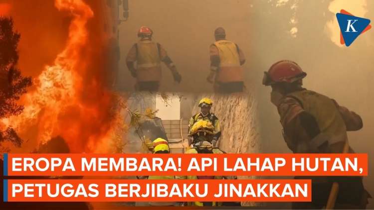 Krisis Kebakaran Hutan di Eropa: Ratusan Ribu Jiwa Terpaksa Mengungsi