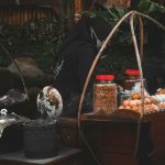 Kuliner Jakarta yang Bikin Lidah Jawa Menyerah: Pengakuan dari Semarang