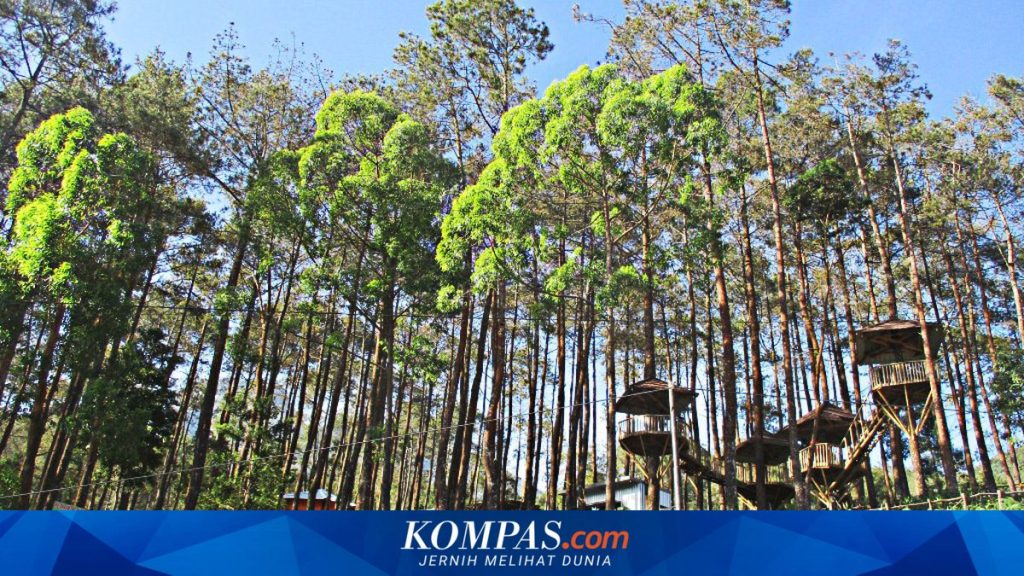 Liburan Keluarga Seru di Karanganyar: 5 Destinasi Wisata yang Wajib Dikunjungi