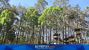 Liburan Keluarga Seru di Karanganyar: 5 Destinasi Wisata yang Wajib Dikunjungi