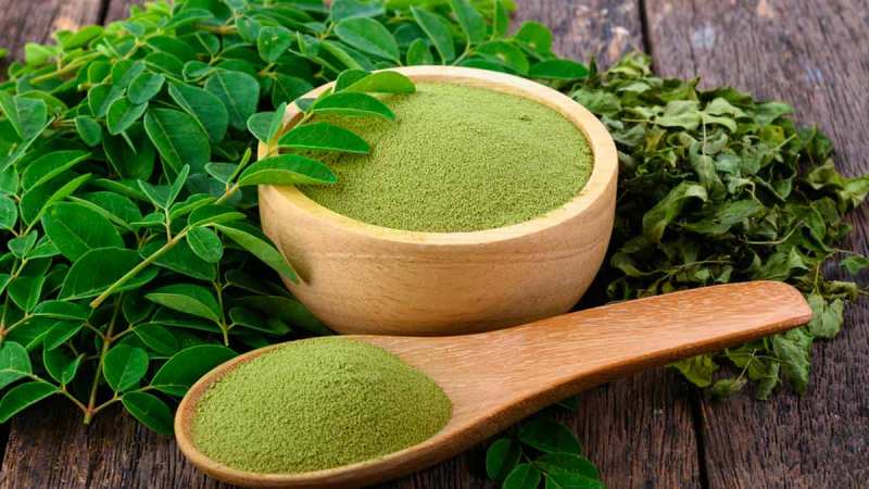 Manfaat Daun Kelor: Potensi Atasi Diabetes dan Jaga Fungsi Organ Tubuh