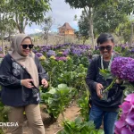 Menikmati Suasana Dingin Kota Batu Melalui Wisata Kuliner di Dusun Kuliner