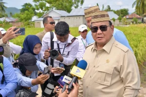 Mewujudkan Ambisi Pusat Finansial Global di Tengah Penerapan Pajak Minimum Global
