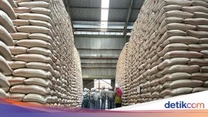 Mulai Agustus, 33 Juta Keluarga Terima Bantuan Beras Gratis 30 Kg
