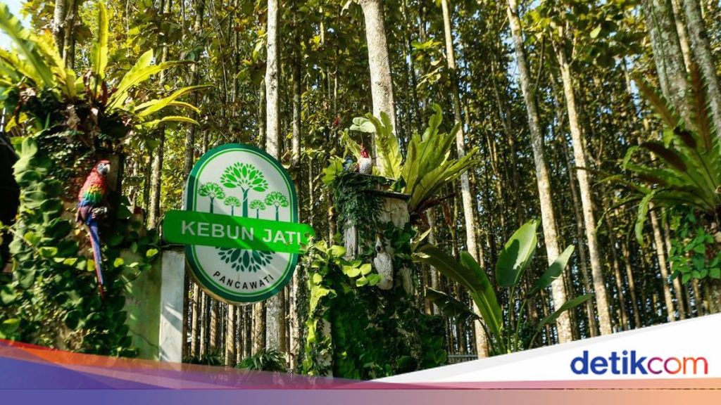 Pancawati: Transformasi Desa Menjadi Destinasi Wisata Andalan