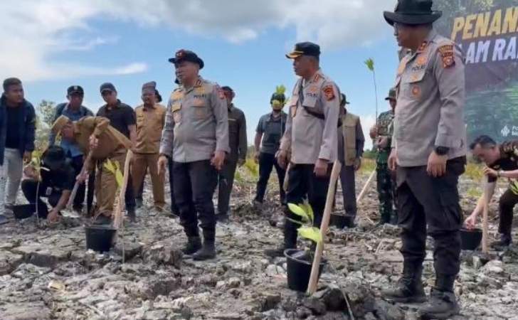 Pelaku Perusakan Hutan Mangrove Ditangkap, 118 Hektare Lahan Kritis di Rohil Kembali Dihijaukan