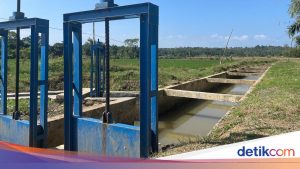 Pemerintah Alokasikan Dana Rp 985 Miliar untuk Pembangunan Irigasi di Banten