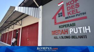 Pemerintah Diminta Tak Persulit Masyarakat dalam Penyaluran Bansos Melalui Kopdes