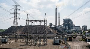 Pemerintah Intensifkan Pengawasan DMO dan Dorong PLN untuk Percepat Proses Kontrak
