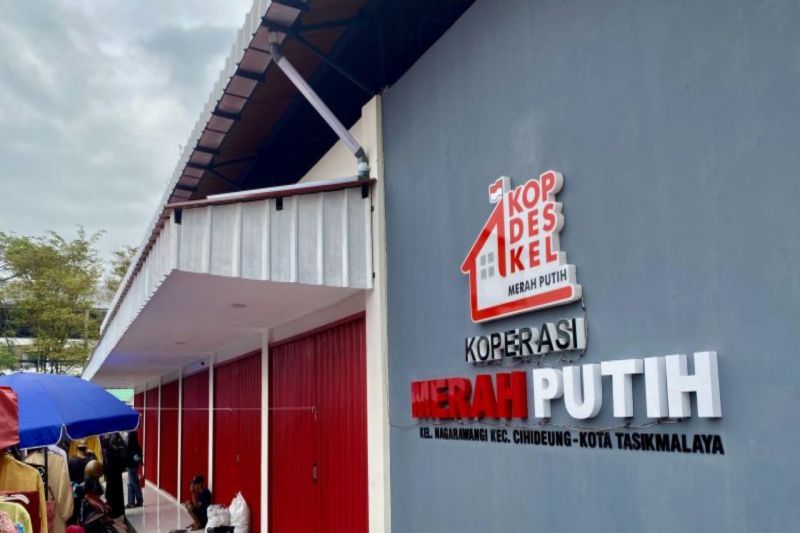 Pemerintah Percepat Pembangunan Tahap Awal Empat Kawasan Industri di Palu