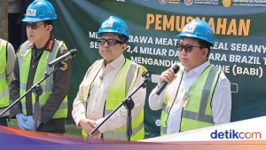 Pemerintah Resmi Cabut Izin Perusahaan yang Terlibat Kasus 312 Ton Meat Bone Meal Berbahan Babi