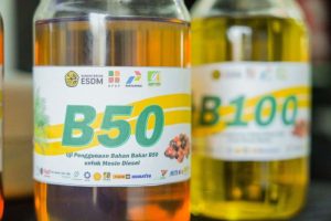 Pemerintah Tegaskan B50 Aman untuk Mesin Kendaraan