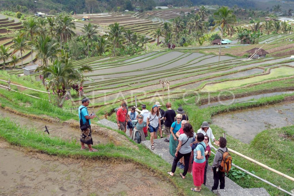 Penerimaan Pajak dari Sektor Pariwisata Bali Capai Rp4,13 Triliun