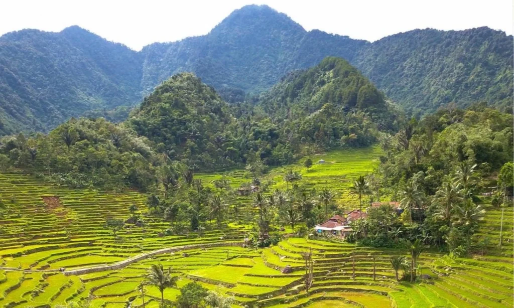 Pesona Desa Purwabakti: Perpaduan Alam, Budaya, dan Edukasi di Lereng Gunung Salak