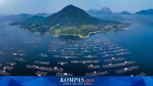 Pesona Wisata Purwakarta: 5 Destinasi Hits dari Taman hingga Waduk Jatiluhur