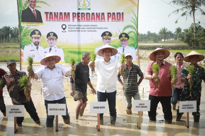 Pimpin Penanaman Padi Perdana Pasca Bencana, Sekda Aceh Tekankan Pentingnya Ketahanan Pangan