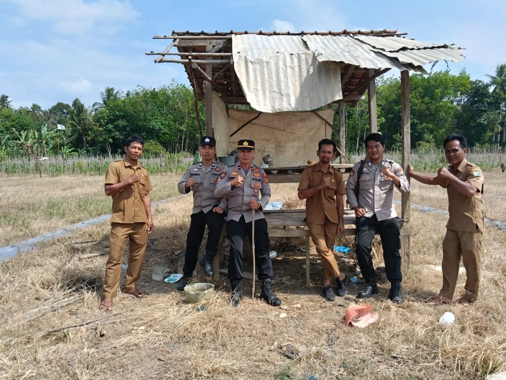 Polsek Rambang Niru dan Pemerintah Desa Tanam Jagung di Pangkalan Babat untuk Ketahanan Pangan