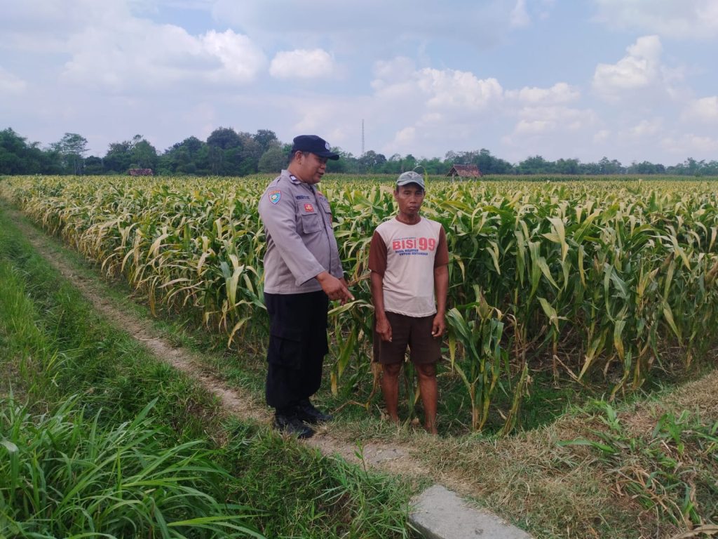 Polsek Sanankulon Perkuat Ketahanan Pangan Lewat Kegiatan Rutin