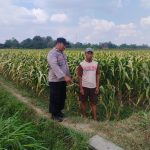 Polsek Sanankulon Perkuat Ketahanan Pangan Lewat Kegiatan Rutin